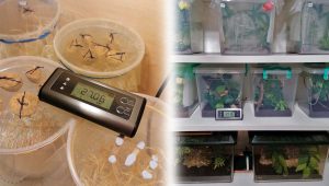 el-sie-2 monitoring in front of Tupperware