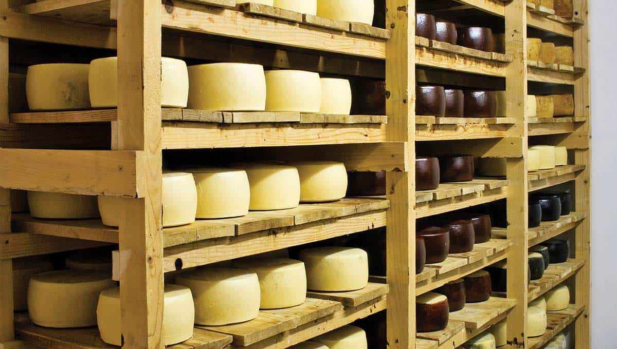 cheese storage