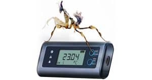 Praying Mantis Balancing on an EL SIE Data logger