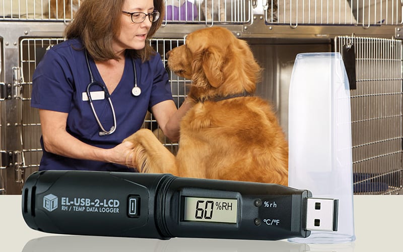 Veterinary doctor with a dog