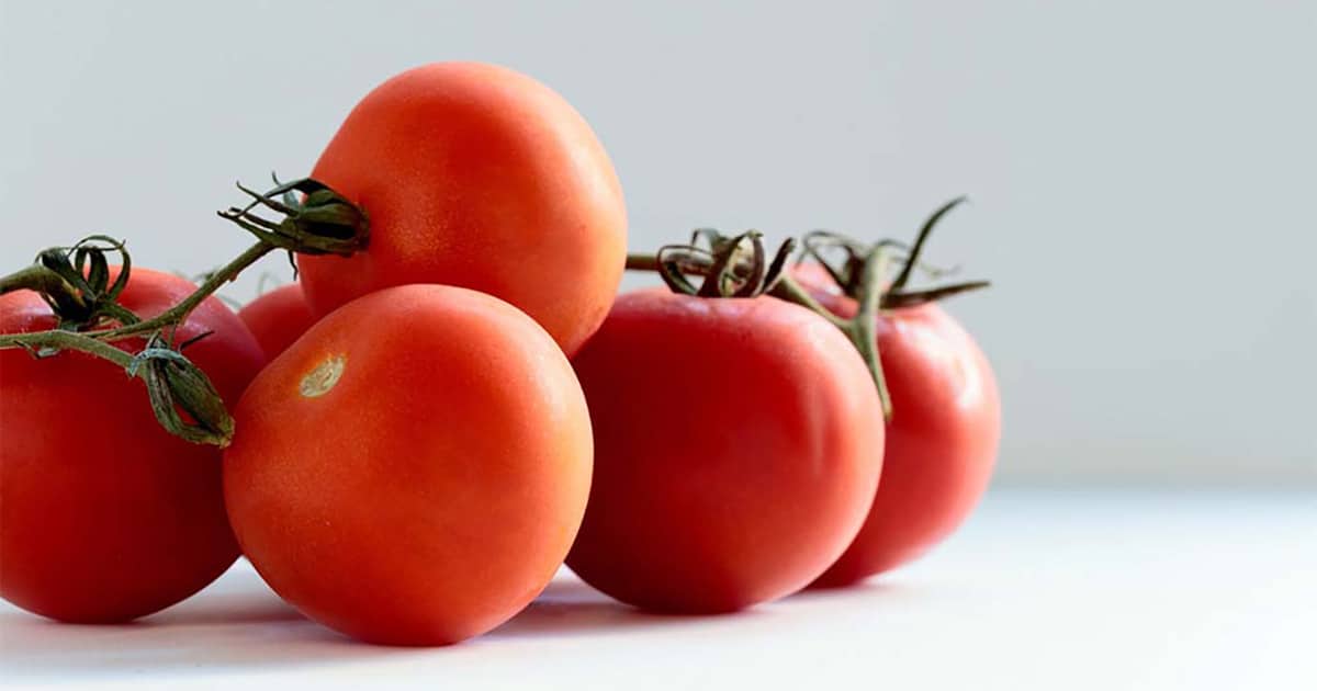 Tomatoes in a pile