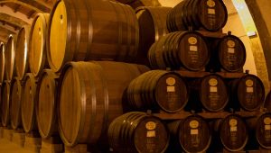 Wine Barrels