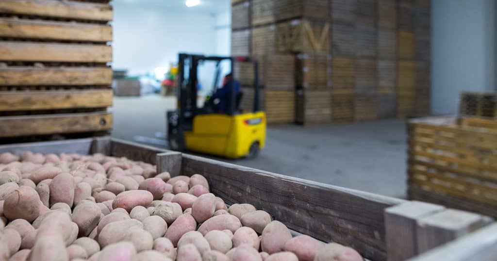 Potatoes in Storage